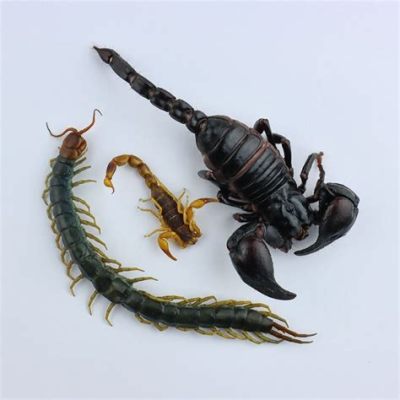  เร่_ scorpion! สัตว์ขาข้อต่อที่มีพิษร้ายแรงและความสามารถในการทนร้อนสูง